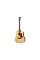 Електроакустична гітара TAYLOR GUITARS 210ce PLUS
