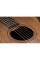 Електроакустична гітара TAYLOR GUITARS ACADEMY 22E