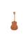 Акустическая гитара TAYLOR GUITARS GS MINI SAPELE