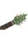 Электрогитара EVH Wolfgang Special Ebony Fingerboard Pelham Green