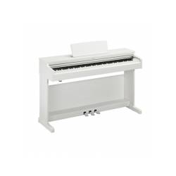 Цифровое пианино YAMAHA ARIUS YDP-165 (White)