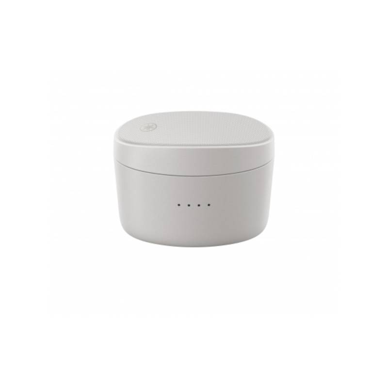 Наушники открытые YAMAHA TW-E5B GRAY