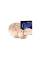 Набір тарілок ZILDJIAN I PRO GIG CYMBAL PACK