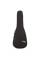 Электроакустическая гитара Yamaha APXT2 (Natural)