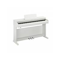 Цифровое пианино YAMAHA ARIUS YDP-165 (White)