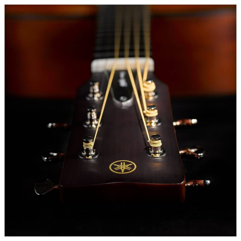 Акустическая гитара YAMAHA FG5 (Gloss)