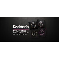 D’addario NYXL: выше, быстрее, сильнее D’addario NYXL: выше, быстрее, сильнее